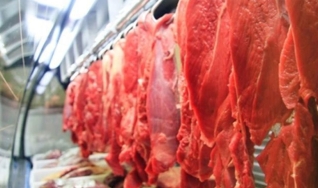 Thayná Drugowick - Analista de mercado da Scot Consultoria