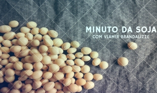 Tempo  & Dinheiro - Minuto da Soja, com Vlamir Brandalizze