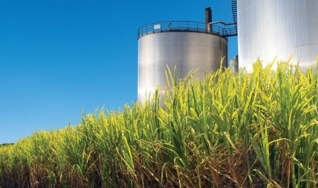 Bruno Freitas - Economista Sênior da Datagro