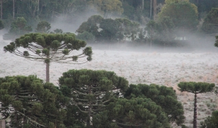 Meteorologia - Previsão do tempo para todo o Brasil