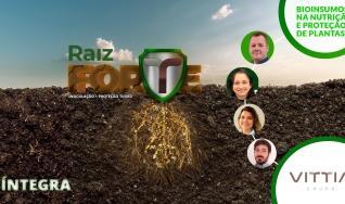 Íntegra Raiz Forte - Vittia