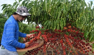 Janderson Dalazen - Eng. Agrôn. e Sec. de Estado da Agricultura de Rondônia