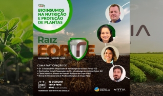 José Roberto P. de Castro - Diretor de Marketing da Vittia