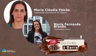 Do Grão à Barra -