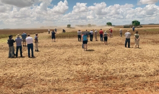 Ricardo Arioli - Engenheiro Agrônomo, produtor rural em MT, comentarista do NA