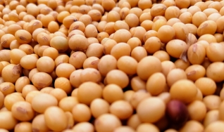 Tarcisio José Minetto - Consultor – Fecoagro  - RS