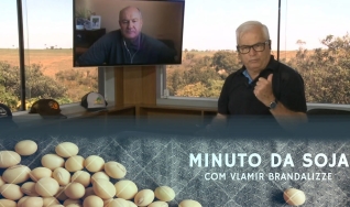 Tempo  & Dinheiro - Minuto da Soja, com Vlamir Brandalizze