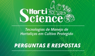 Confira as perguntas e respostas do evento Hortiscience