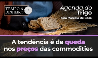 Tempo e Dinheiro