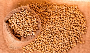Marcos Araújo e Eduardo Lima Porto - Analista da Agrinvest e Diretor da LucrodoAgro