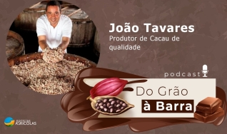 Do Grão à Barra -