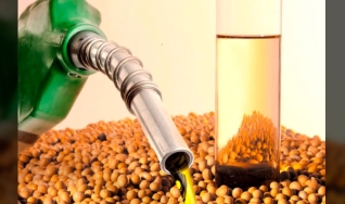 José Bressiani - Diretor de Tecnologias Agrícolas da Granbio