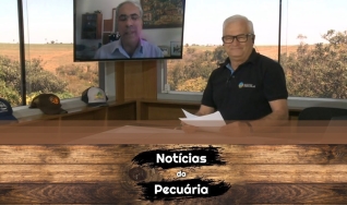 Tempo  & Dinheiro - Notícias da Pecuária, com Sérgio Braga