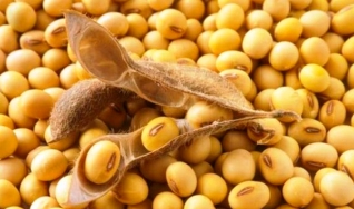 Eduardo Vanin - Analista de Mercado da Agrinvest