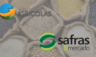 Paulo Sergio Camolesi - Diretor da Safras & Mercados
