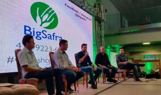 Mesa Redonda - Workshop Big Safra