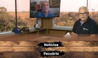 Tempo  & Dinheiro - Notícias da Pecuária, com Sérgio Braga