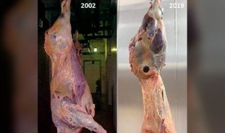 Rafael Renner - Pampa Natural Meats Assessoria