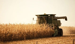 José Roberto Brucceli - Diretor do Sindicato Rural de Rio Verde - GO