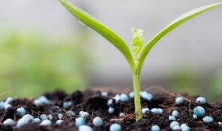 Marcelo Mello - Gerente da Mesa de Fertilizantes na StoneX