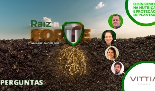 Perguntas Raiz Forte - Vittia