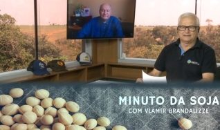 Tempo  & Dinheiro - Minuto da Soja, com Vlamir Brandalizze