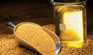Eduardo Vanin - Analista de Mercado da Agrinvest