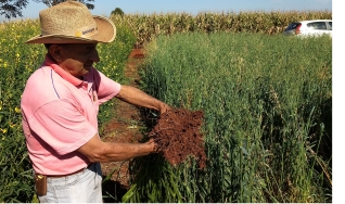 Maicon Fontaina - Fazenda Renovação,Bela Vista/Oeste da Bahia