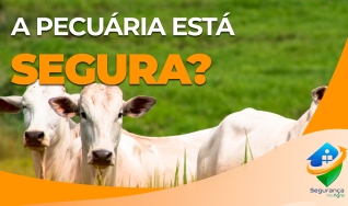 Carlos Zumerle, especialista em segurança no agro