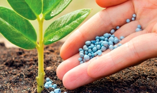 Jeferson Souza - Analista de Fertilizantes da Agrinvest