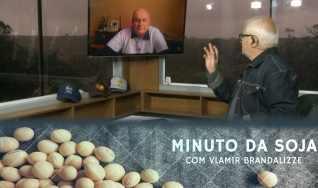 Tempo  & Dinheiro - Minuto da Soja, com Vlamir Brandalizze