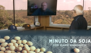 Tempo  & Dinheiro - Minuto da Soja, com Vlamir Brandalizze