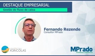 Fernando Rezende - Consultor MPrado