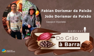 Do Grão à Barra -