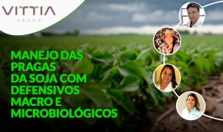 Confira a abertura do evento Manejo das pragas da soja com defensivos macro e microbiológicos