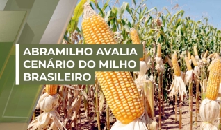 Paulo Bertolini - Presidente da Abramilho