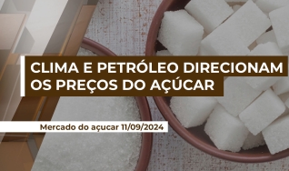 Filipi Cardoso - Especialista de Inteligência de Mercado da StoneX