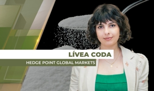 Lívea Coda - Analista de Açúcar e Etanol da Hedge Point Global Markets