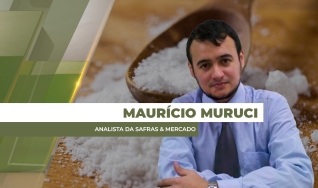 Maurício Muruci - Analista da Safras & Mercado