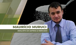 Maurício Muruci - Analista da Safras & Mercado