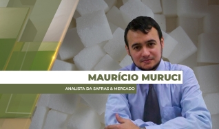 Maurício Muruci - Analista da Safras & Mercado