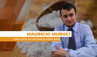 Maurício Muruci - Analista da Safras & Mercado