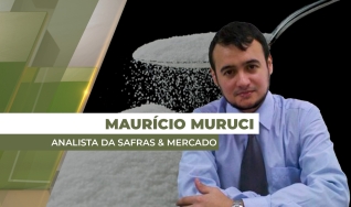 Maurício Muruci - Analista da Safras & Mercado