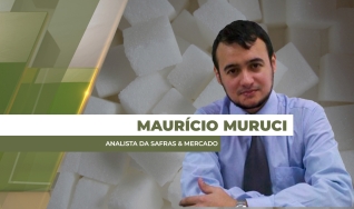 Maurício Muruci - Analista da Safras & Mercado
