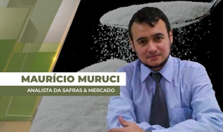 Maurício Muruci - Analista da Safras & Mercado