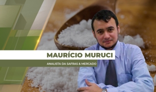 Maurício Muruci - Analista da Safras & Mercado