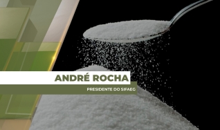 André Rocha - Presidente do Sifaeg