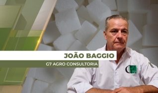 João Baggio - Diretor Presidente  G7 Agro Consultoria