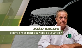 João Baggio - Diretor Presidente  G7 Agro Consultoria