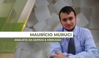 Maurício Muruci - Analista da Safras & Mercado